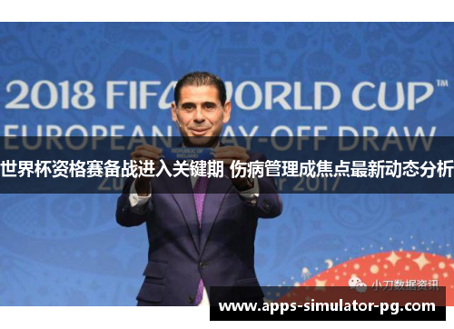 世界杯资格赛备战进入关键期 伤病管理成焦点最新动态分析